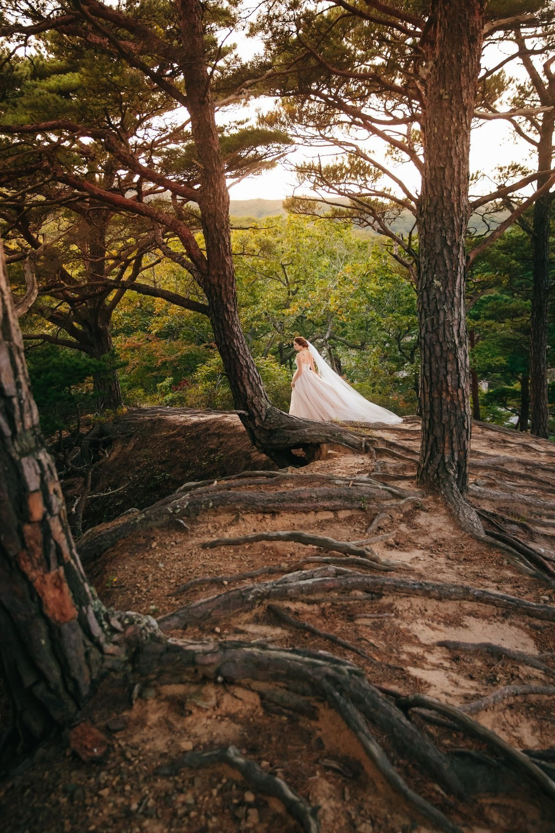 Wedding Photography & Videography Team in California, Los Angeles, San Francisco, San Diego and Travel