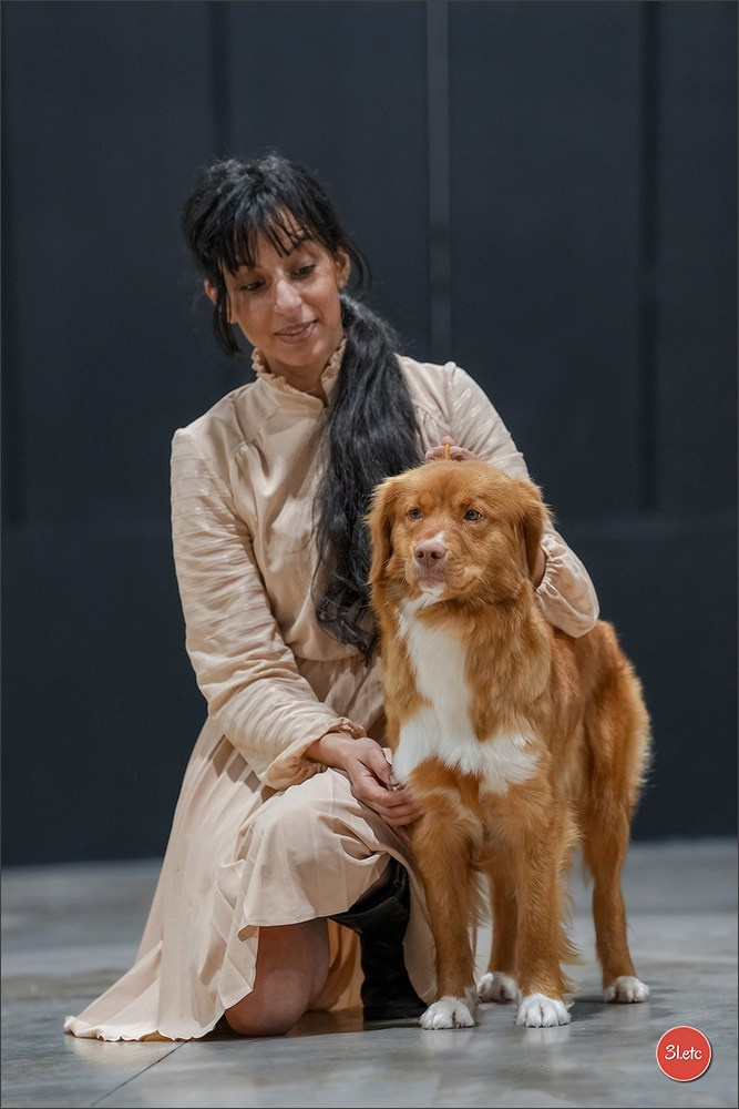 🇱🇺 LUXEMBOURG 🇱🇺 International Dog Show 4-5/04/2026. Photographe à Strasbourg | Portraits, Studio, Enfants, Événements