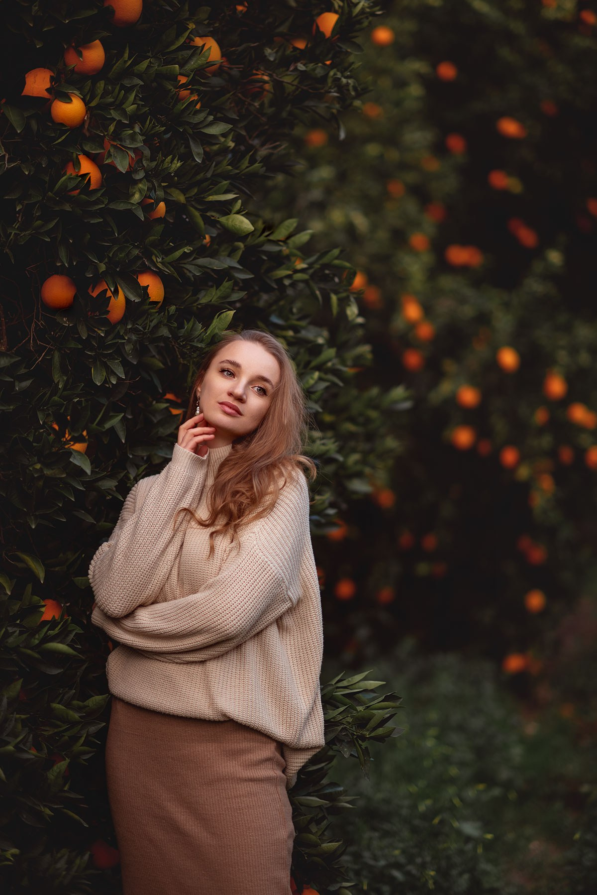 Апельсиновый сад в Анталии. Фотограф Анталия, Кемер, Белек, Сиде Дарья Кая