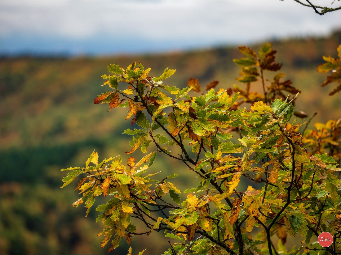 Maria Lang Andlau. Photographe à Strasbourg | Portraits, Studio, Enfants, Événements