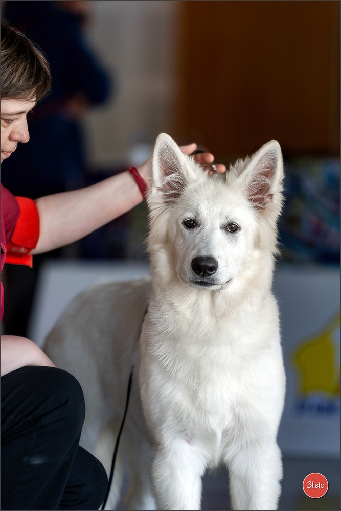 Expo canine 🇫🇷 Valence 02-03/05/2026