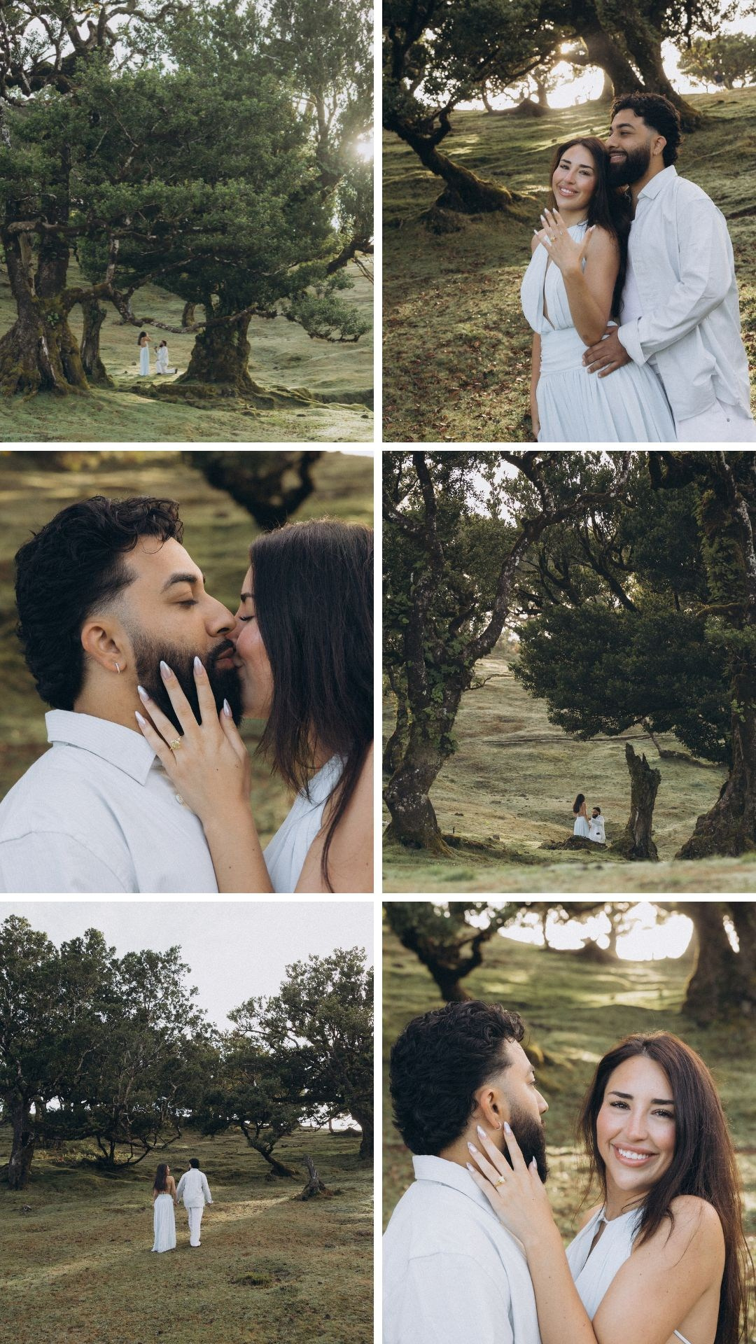 Cinematic moments from a romantic surprise proposal among the laurel trees of Fanal Forest.