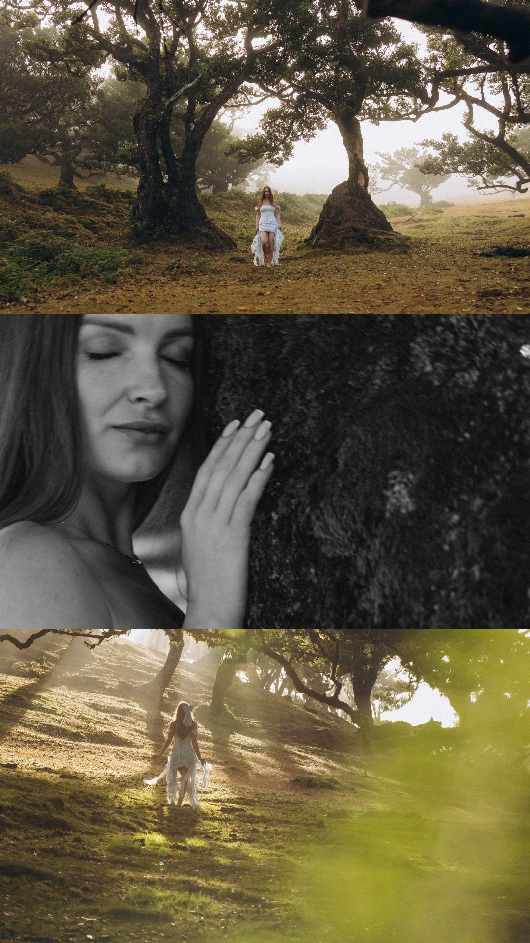 Solo Photoshoot in Fanal Forest, Madeira | Cinematic Portrait Photography. Fotógrafa na Madeira para casais, pedidos de casamento, elopements e casamentos íntimos | Tatiana