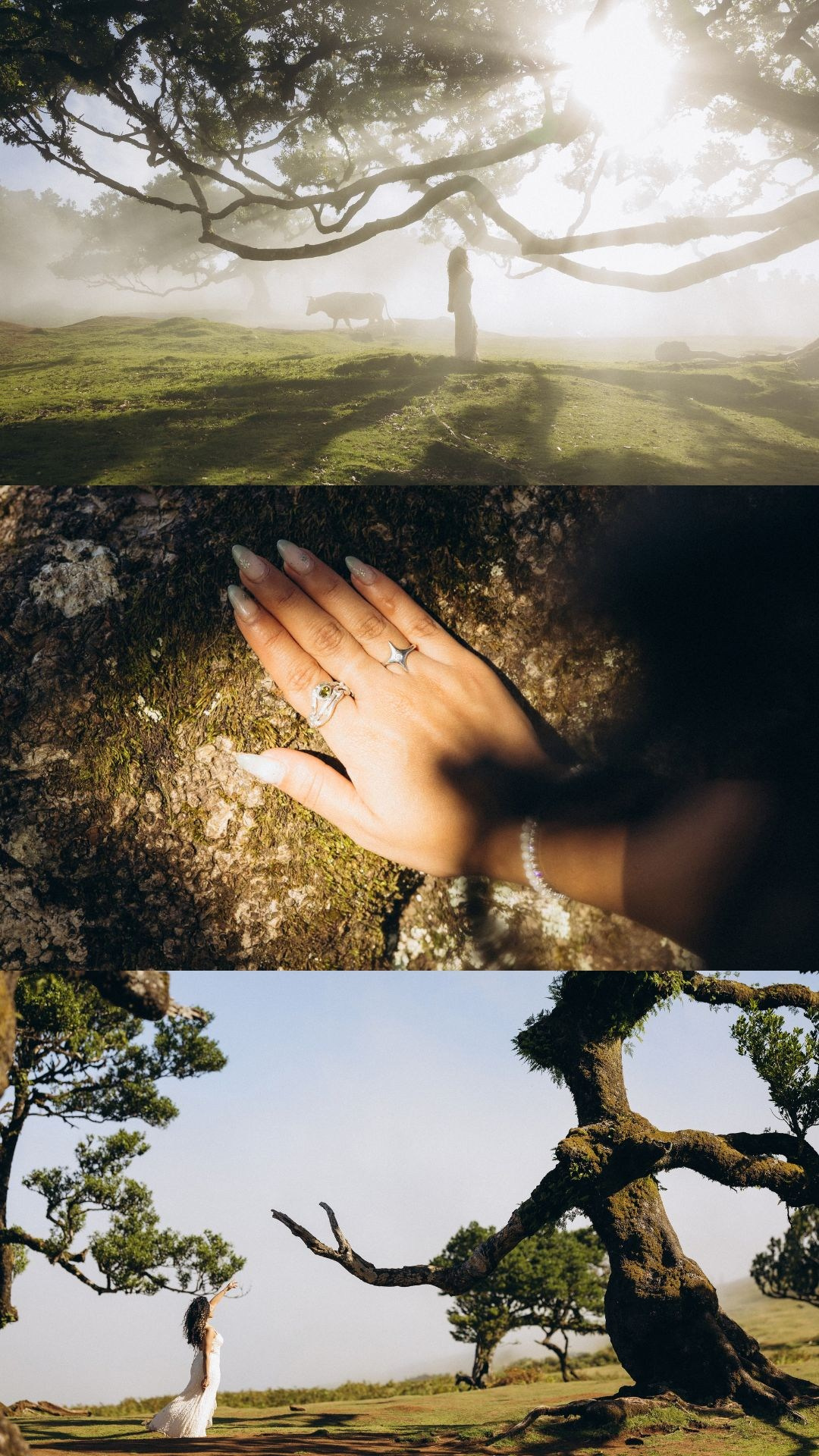 Atmospheric portrait photography collage featuring fog and sunlight in Madeira.