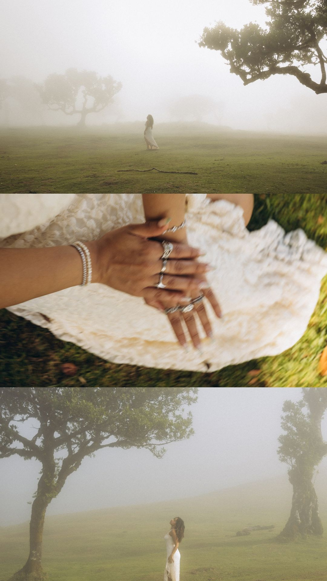 Solo photoshoot collage in foggy and sunny Fanal Forest, Madeira.