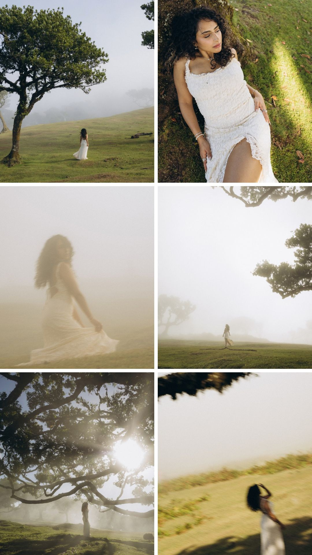 Cinematic solo portrait highlights from Fanal Forest with mist and sunlight.