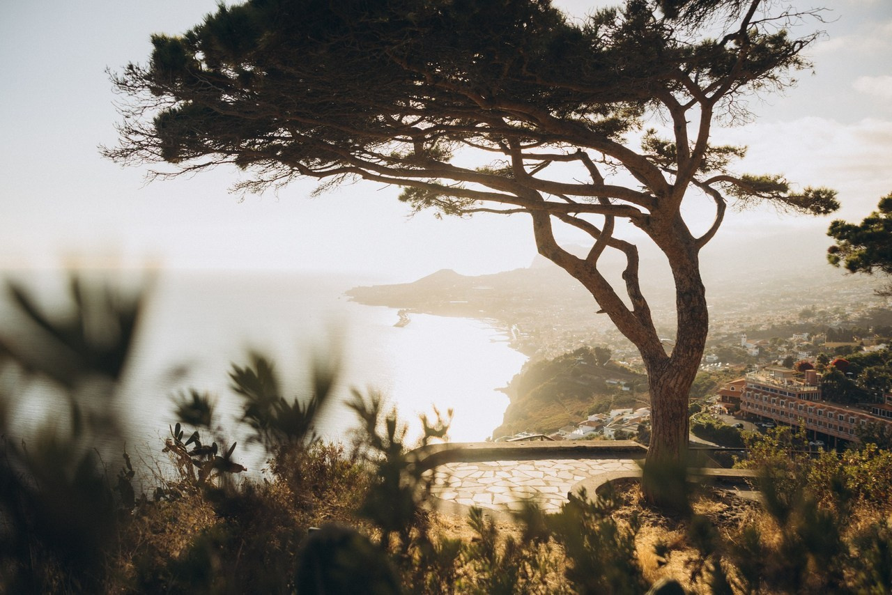 Client reviews of Tatiana — Madeira photographer capturing love stories worldwide