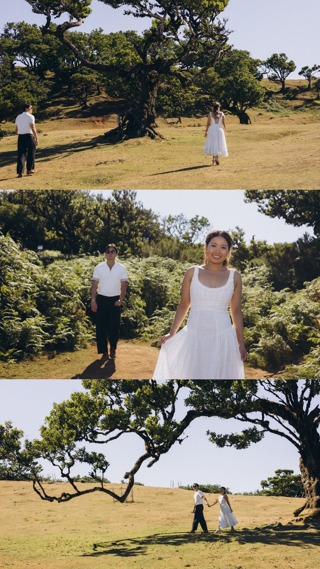 Cinematic honeymoon photography highlights from Seixal Beach and Fanal Forest.”