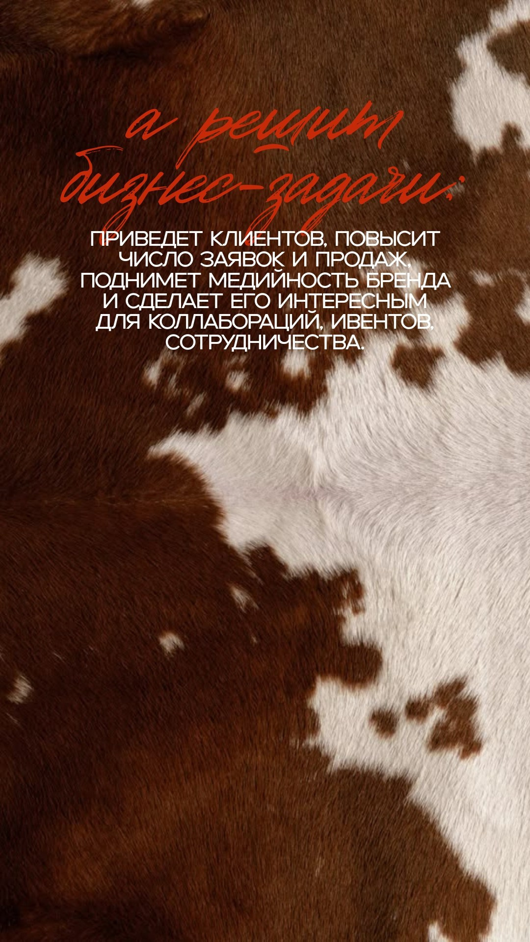 Marketing agency — Instagram stories 9×16. Nœrgie — (Event) design