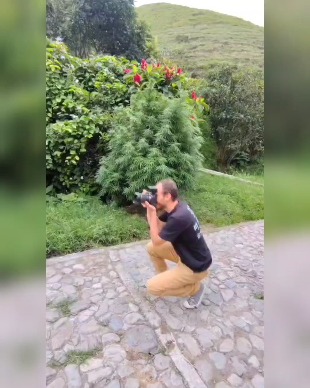 Sesión de pre 15 fotos bonitas. Fotografía profesional para su evento en Caldas por SERFOTOGRAFÍA