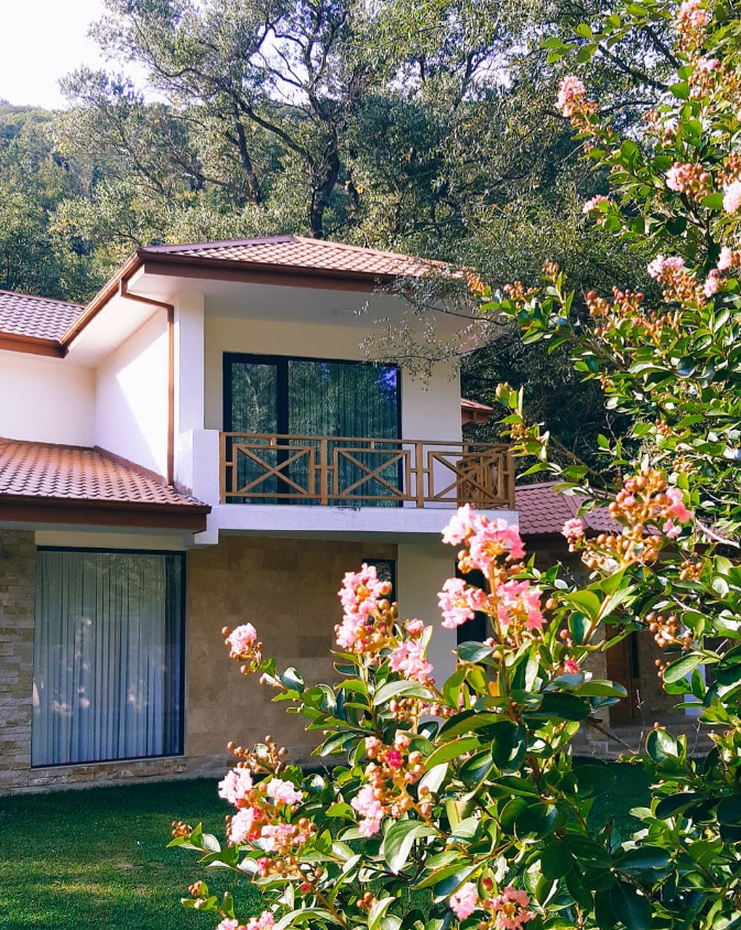 Окрестности Тбилиси. Главная