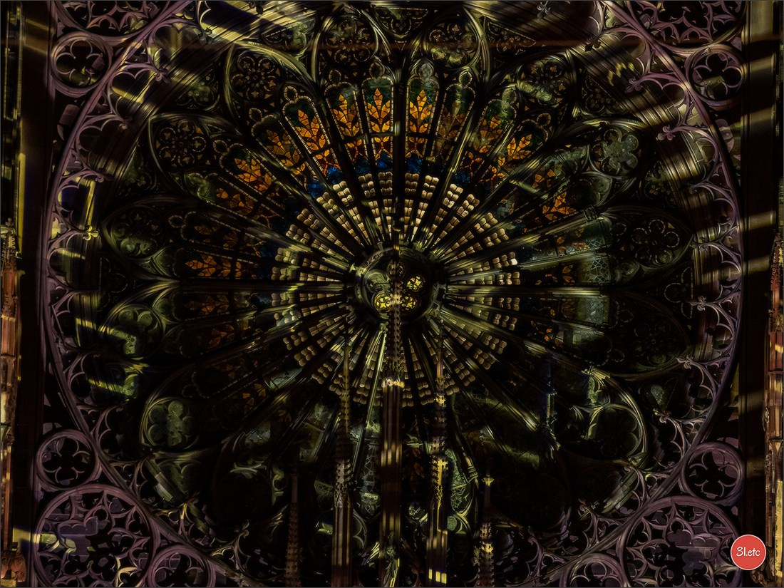 La mise en lumière de la Cathédrale de Strasbourg, du 5 juillet au 8 s. Photographe à Strasbourg | Portraits, Studio, Enfants, Événements