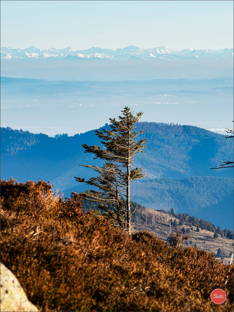 Balade dans les Vosges. Photographe à Strasbourg | Portraits, Studio, Enfants, Événements