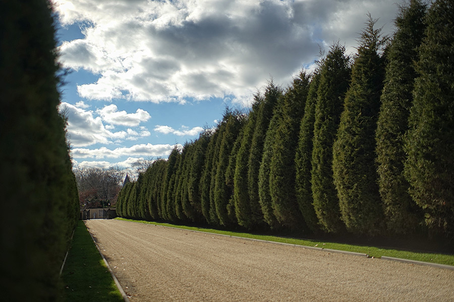 Joshua + Liane (San Juan) (Day 3) – 12/07/2014. Emin Kuliyev — Award-Winning Wedding Photojournalist NYC & USA | Best Wedding Photographer Known for Candid, Timeless Moments