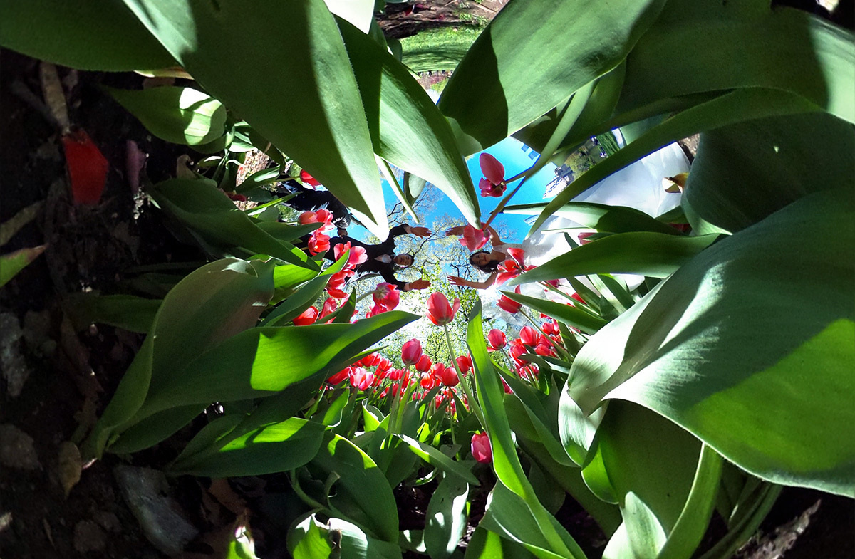 Best Wedding Photographer NYC | Emin Kuliyev | Top 10 Worldwide | Candid & Documentary Style | Prices in Manhattan & New York City. Emin Kuliyev — Award-Winning Wedding Photojournalist NYC & USA | Best Wedding Photographer Known for Candid, Timeless Moments