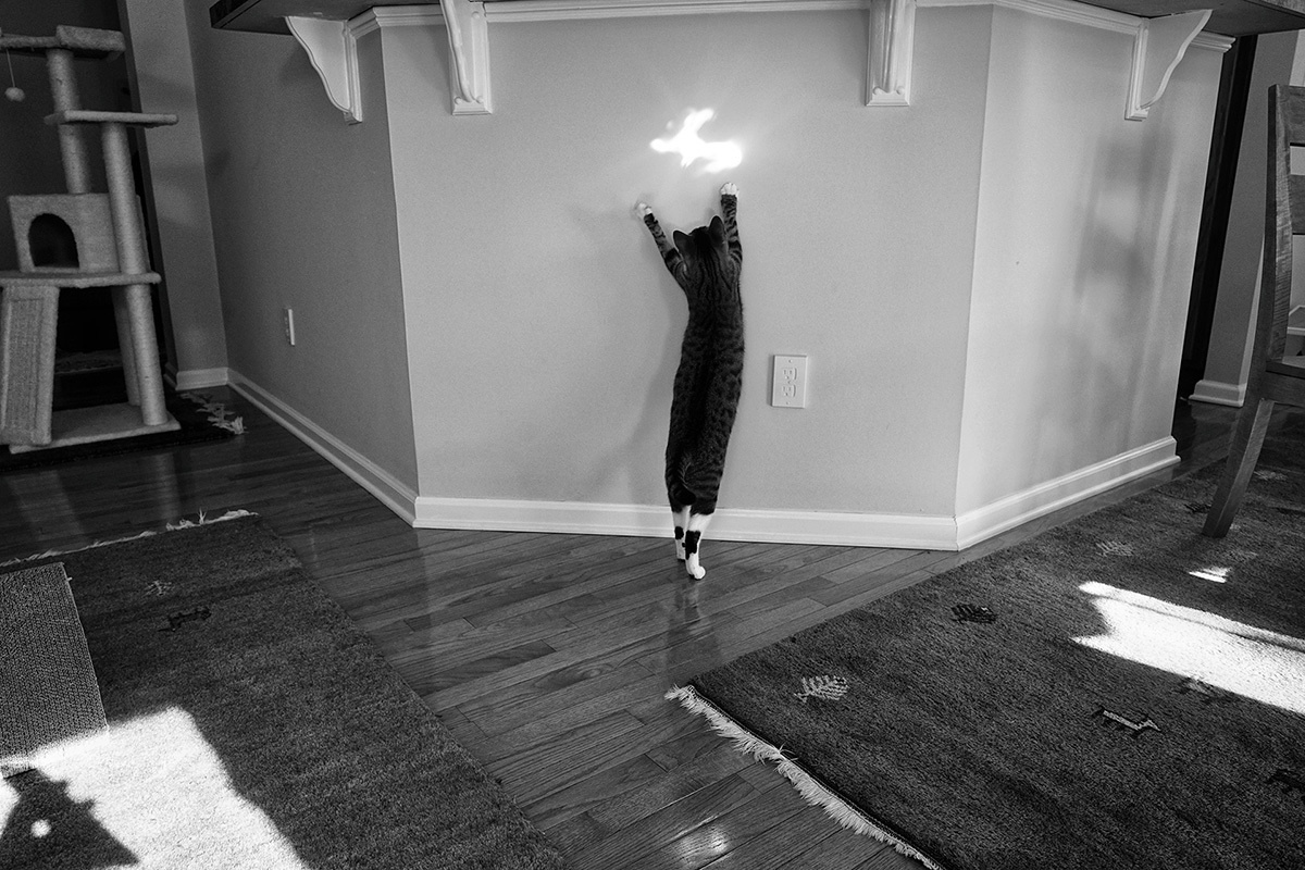 Best Wedding Photographer NYC | Emin Kuliyev | Top 10 Worldwide | Candid & Documentary Style | Prices in Manhattan & New York City. Emin Kuliyev — Award-Winning Wedding Photojournalist NYC & USA | Best Wedding Photographer Known for Candid, Timeless Moments