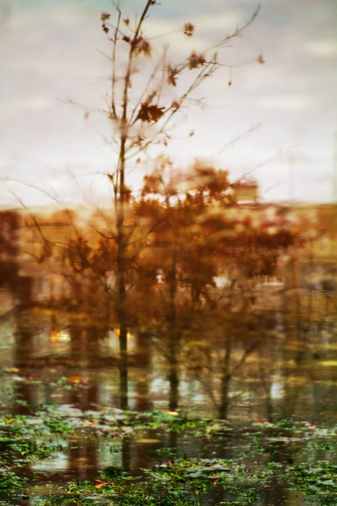 Работы учеников. Фотограф и преподаватель фотографии в Белграде