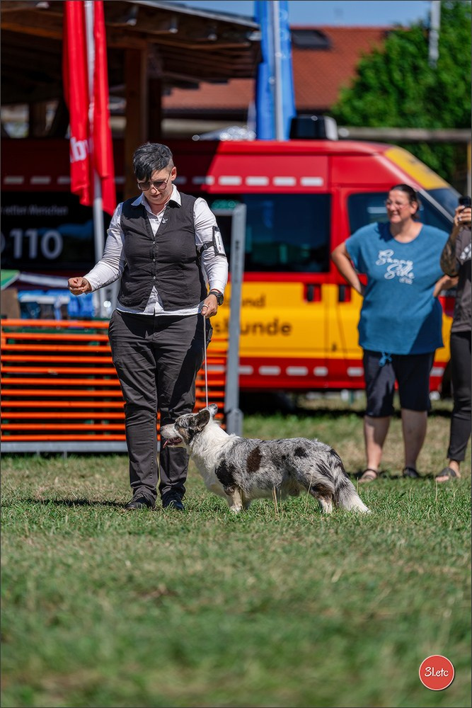 Dog Show - Hallbergmoos 🇩🇪 11-12/07/2026