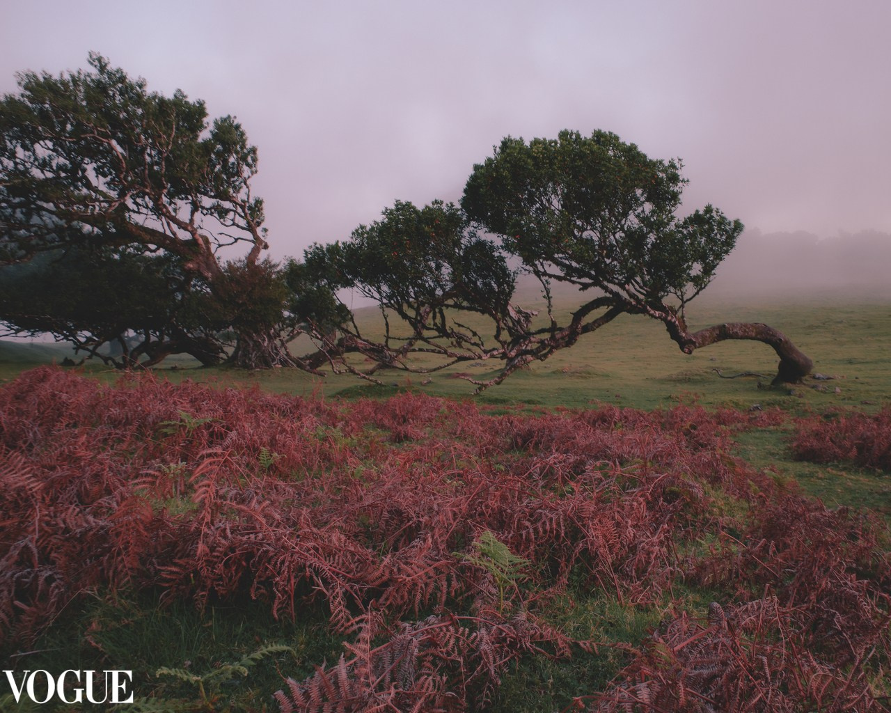 AWARDS. Yana Bobrova | Artistic Photography