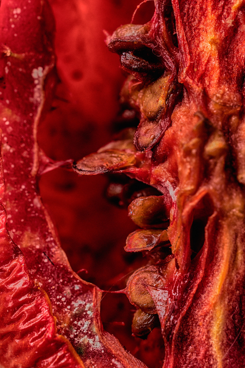 Untitled VI by samid ali