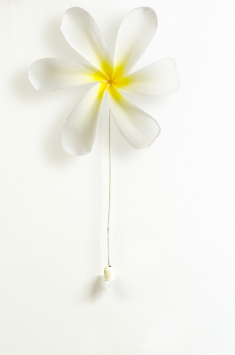 Untitled XX by samid ali