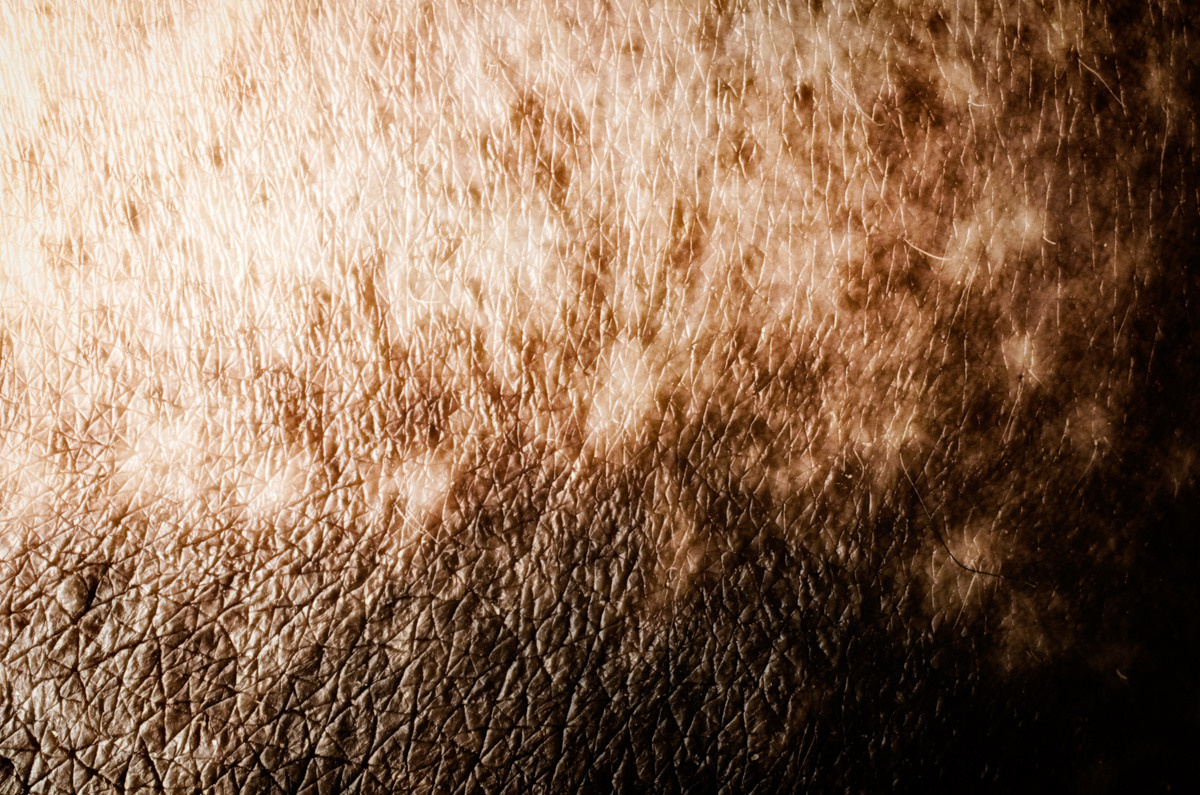 Untitled XVIII by samid ali