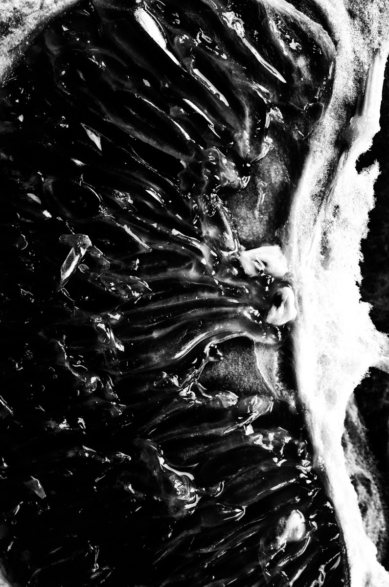 Untitled V by samid ali