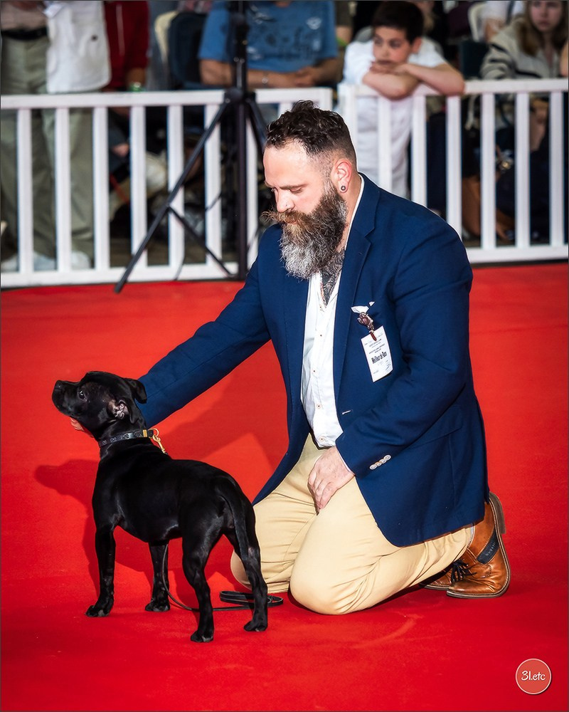 Photographie animalière. Photographe à Strasbourg | Portraits, Studio, Enfants, Événements