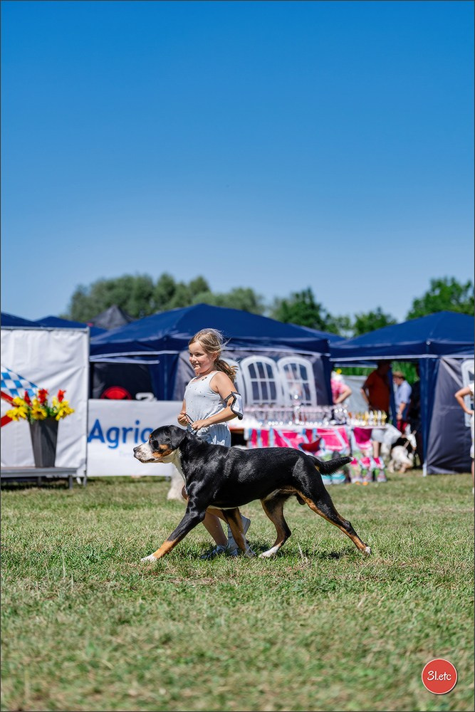 Dog Show - Hallbergmoos 🇩🇪 11-12/07/2026