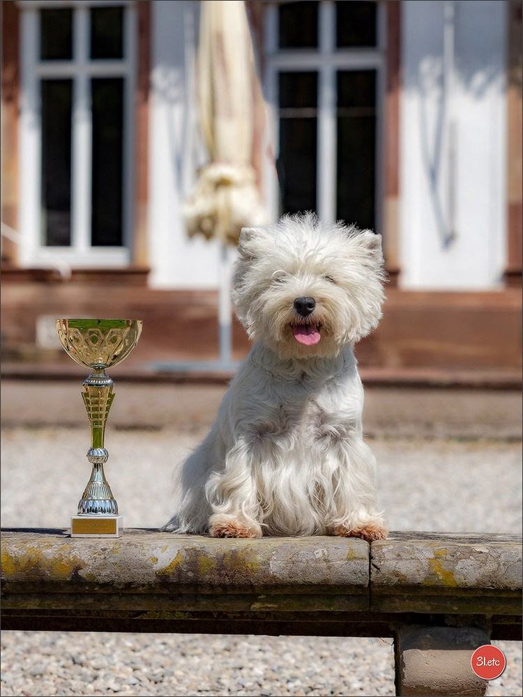 Expo canine Strasbourg  🇫🇷  23-24/08/2025. Photographe à Strasbourg | Portraits, Studio, Enfants, Événements