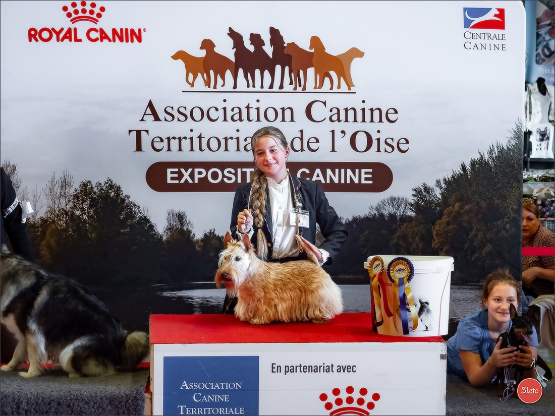 Expo canine 🇫🇷 MARGNY LES COMPIEGNE 06-07/09/2025. Photographe à Strasbourg | Portraits, Studio, Enfants, Événements