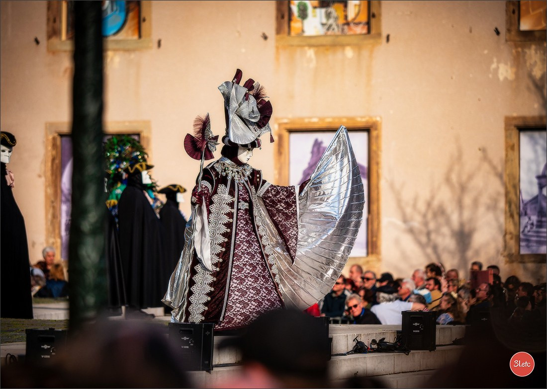 Carnaval vénitien de Rosheim 2026. Photographe à Strasbourg | Portraits, Studio, Enfants, Événements