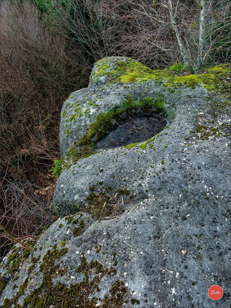 Une forêt, un rocher et un cimetière gallo-romain. Photographe à Strasbourg | Portraits, Studio, Enfants, Événements