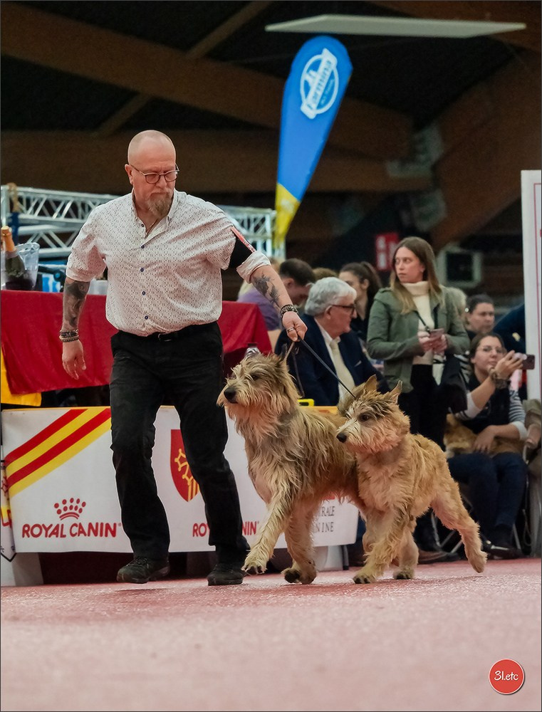 🇫🇷Exposition Canine Internationale de Perpignan. Photographe à Strasbourg | Portraits, Studio, Enfants, Événements
