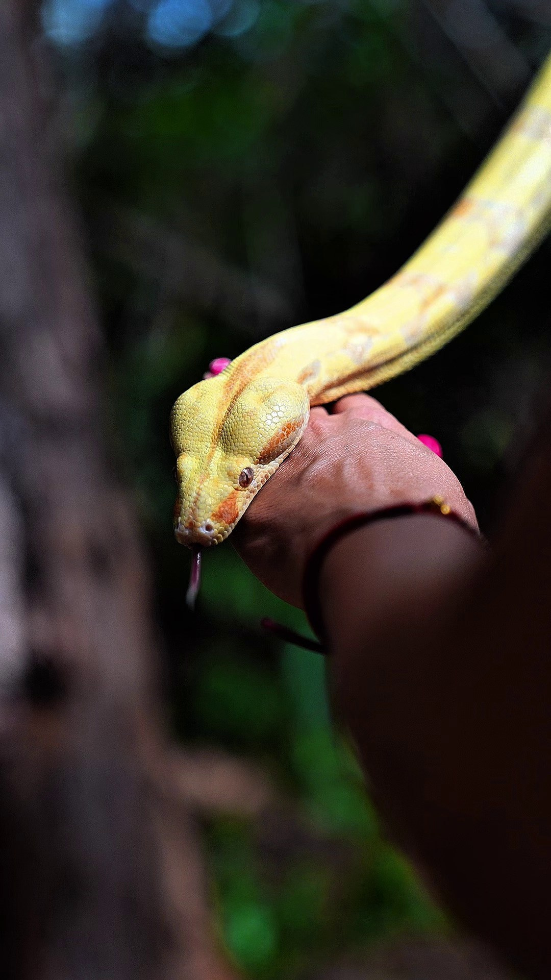 Portfolio Video. Tatiana Ketova