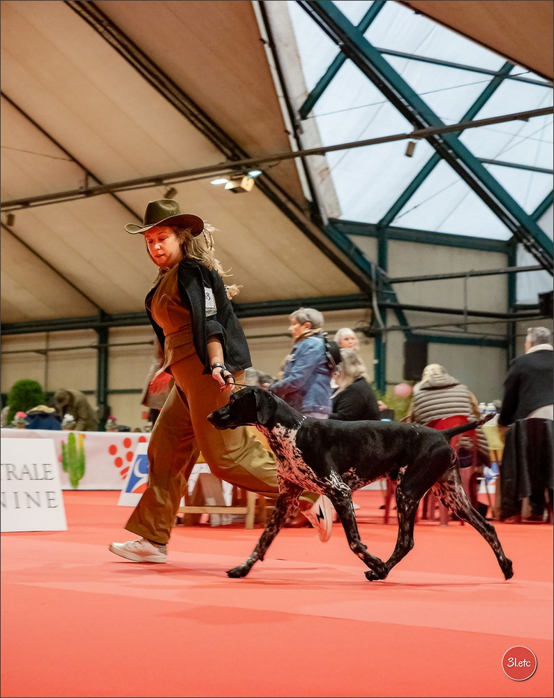 Expo canine  🇫🇷  Chateauroux 25-26/10/2025. Photographe à Strasbourg | Portraits, Studio, Enfants, Événements