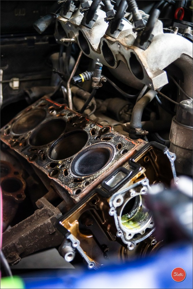 Claptraps. Photographe à Strasbourg | Portraits, Studio, Enfants, Événements