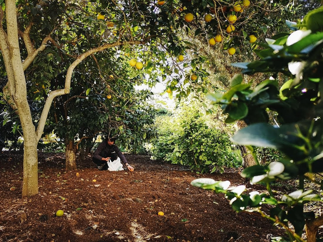 Nedēļas nogale Maltā - ceļojums ziemā