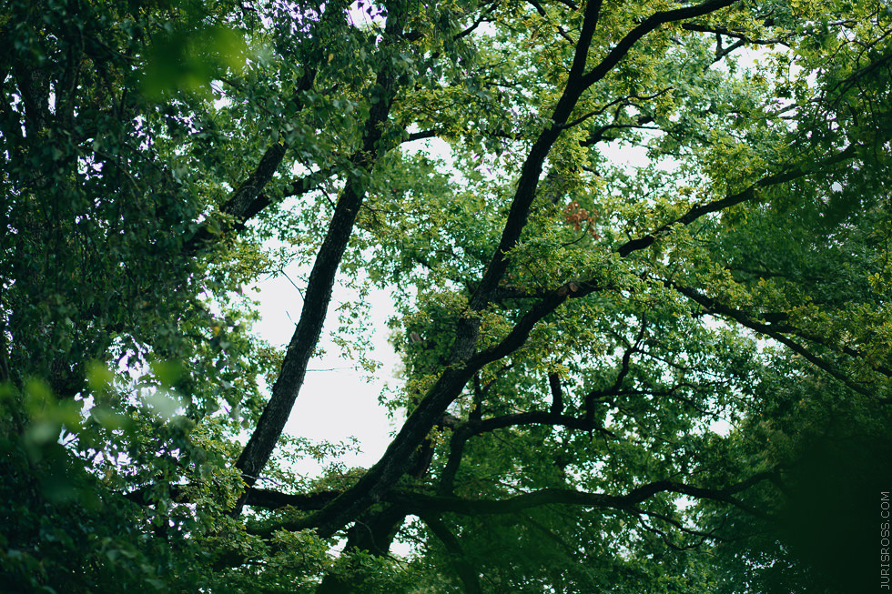 Eko kāzas jūras krastā ar mācītāju, solījumu došana un mielastu dabā