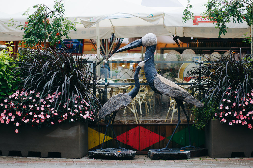 Pirmskāzu pāra fotosesija Vecrīgā radošā reportāžas stilā