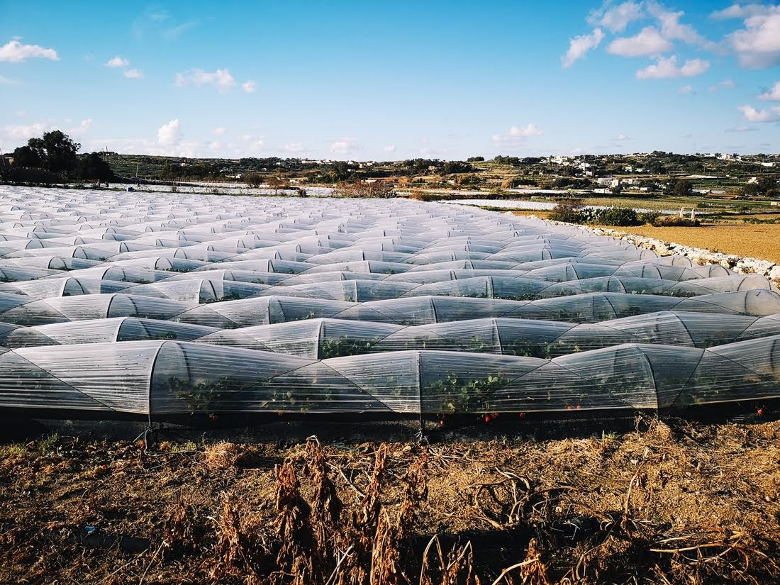 Nedēļas nogale Maltā - ceļojums ziemā