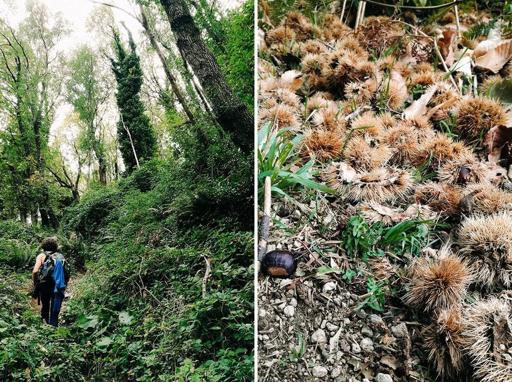 Ceļojums uz Amalfi piekrasti Itālijas rietumos