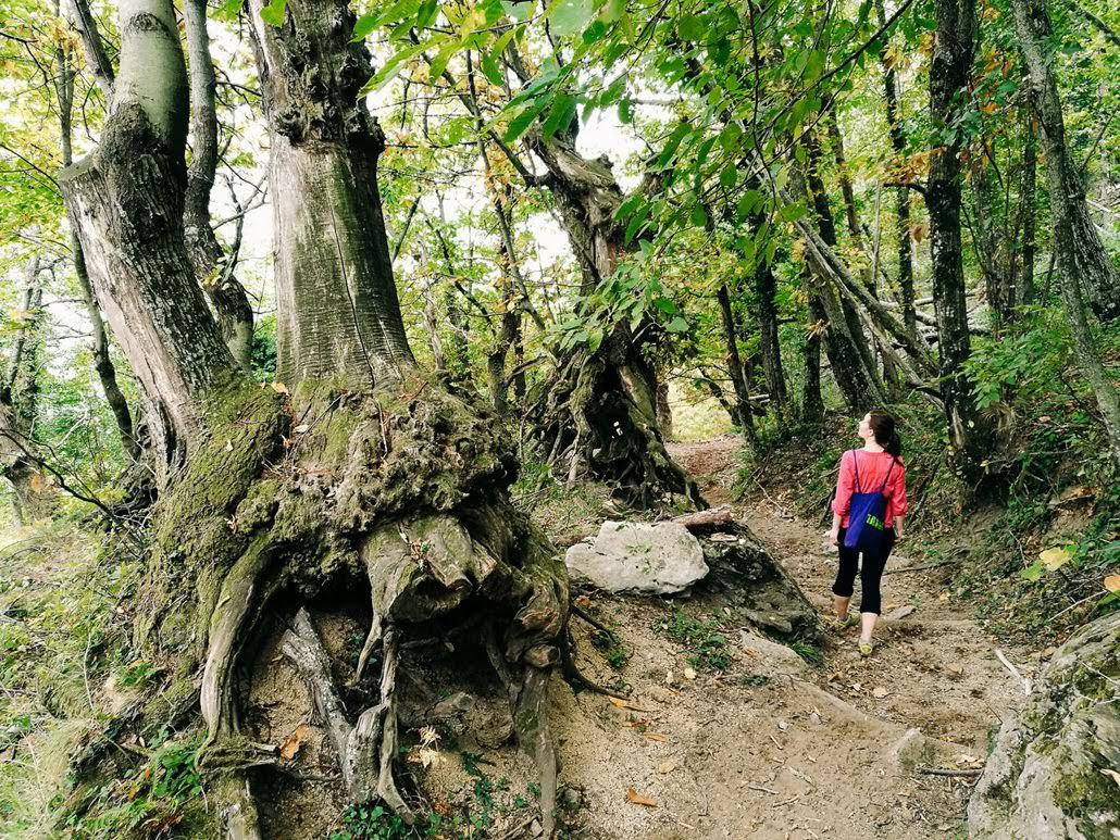 Ceļojums uz Amalfi piekrasti Itālijas rietumos