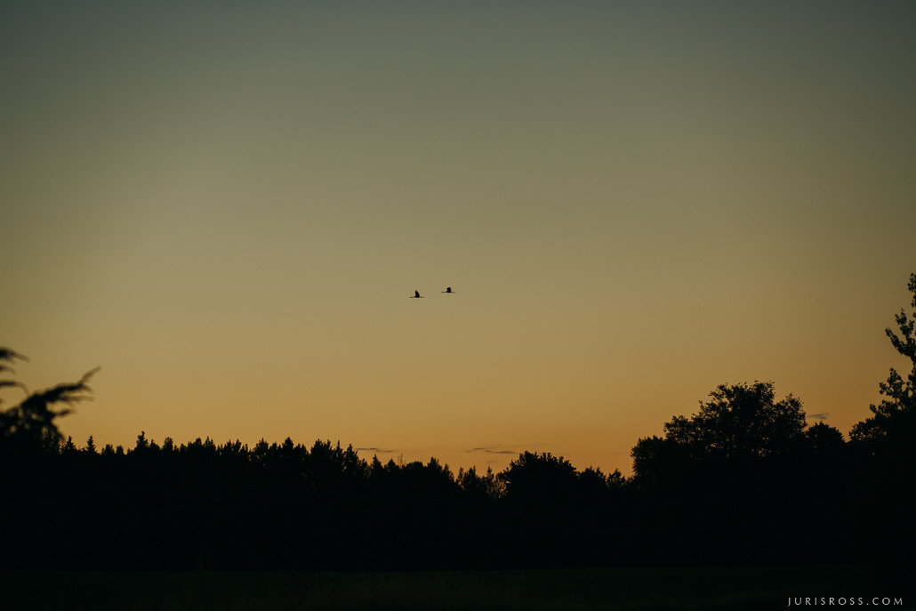 Kāzas Jaunmoku pilī ar ceremoniju lapenē