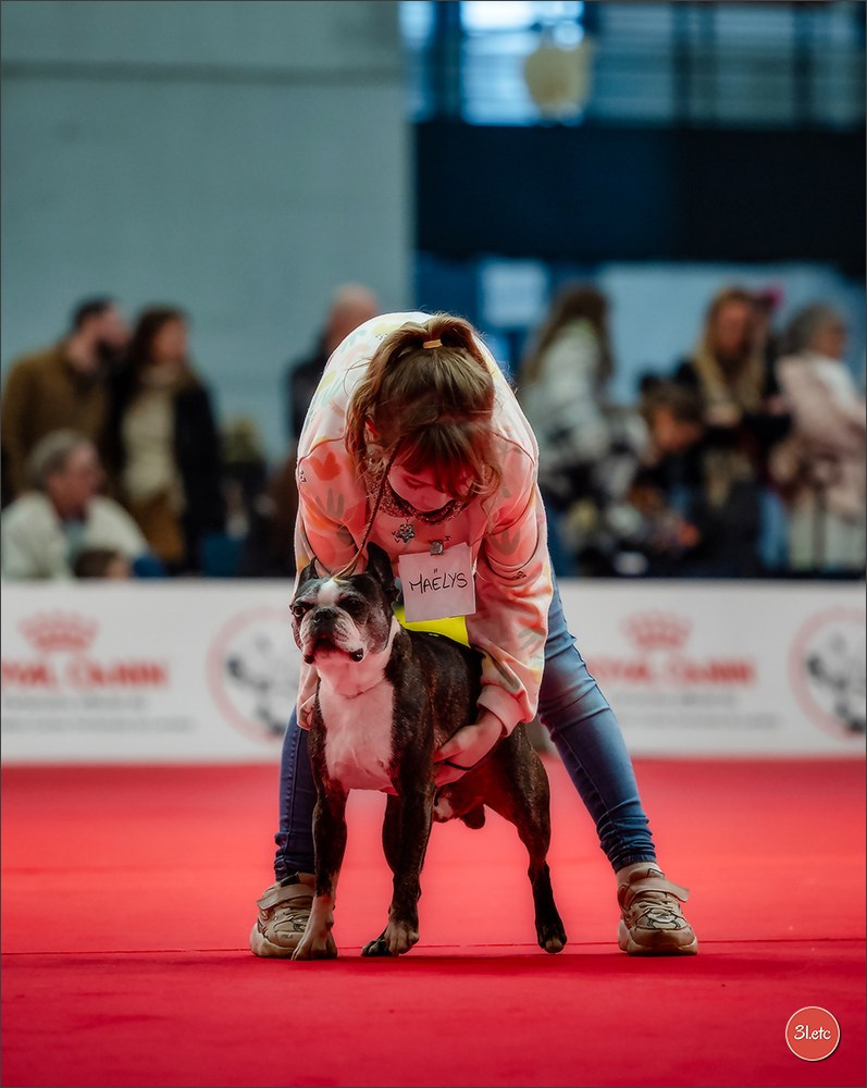 EXPOSITION CANINE NATIONALE ET INTERNATIONALE DE METZ (ACT LORRAINE) METZ (57) - 09 & 10/11/2024. Photographe à Strasbourg | Portraits, Studio, Enfants, Événements