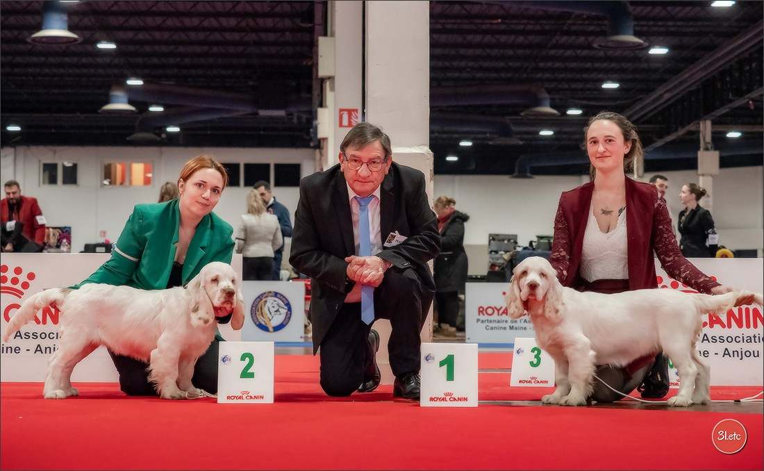 Expo canine  🇫🇷  Angers  22-23/03/2025. Photographe à Strasbourg | Portraits, Studio, Enfants, Événements