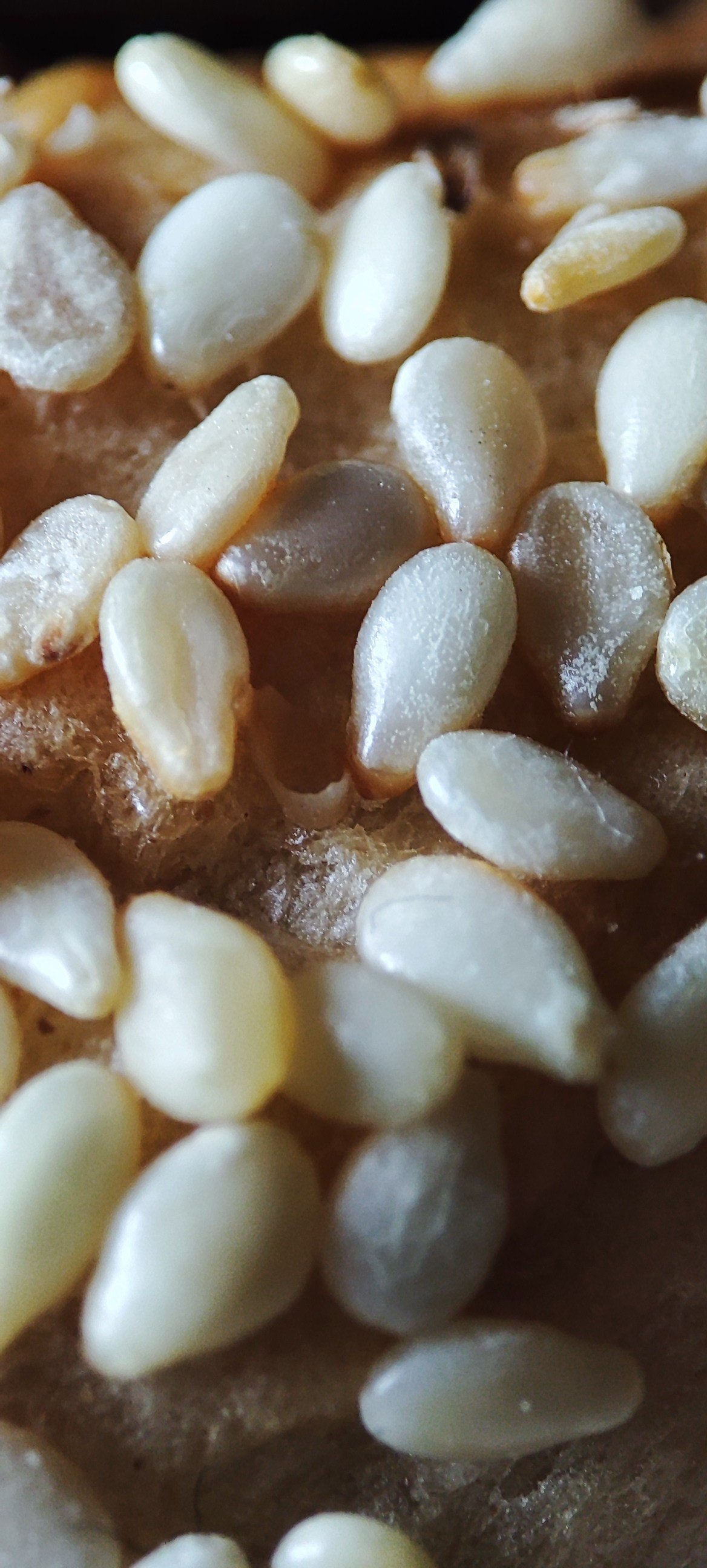 Fotografie Macro~ Close up. Andreea Ivan art-Fotograf Constanta, Fotograf profesionist Constanta, Fotograf de nunta Constanta, botez, sedinte foto cu tematica, portret