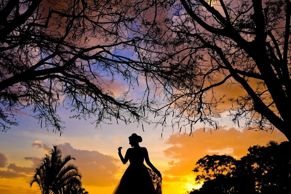 WPE AWARDS. Wedding photographer in Orlando, Boston & New York Anderson Marques