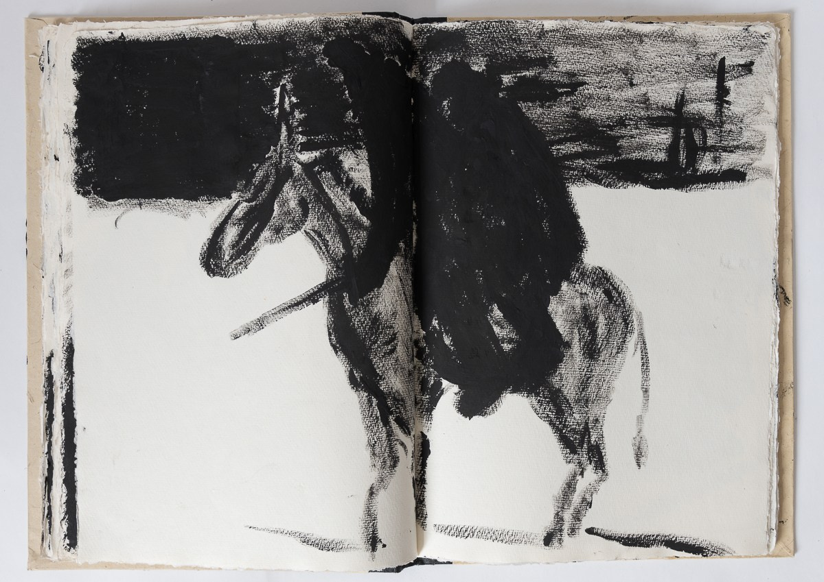 Rebelion, 2018. Haim Sokol’s artists website