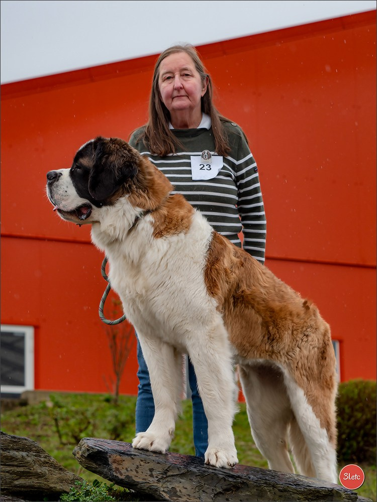 Expo canine  🇫🇷  Angers  22-23/03/2025. Photographe à Strasbourg | Portraits, Studio, Enfants, Événements